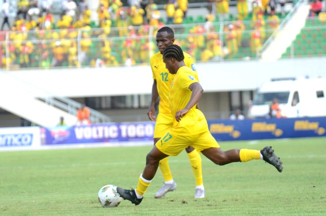 Eperviers du Togo